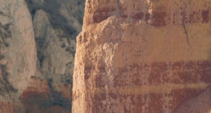 大宁公益研学营 | 走出去，世界就是你的家