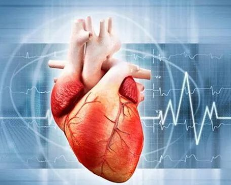 心电图怎么6道别等心慌才想起它！心电图：守护心脏的“第一道预警线”_https://www.jmylbn.com_新闻资讯_第2张