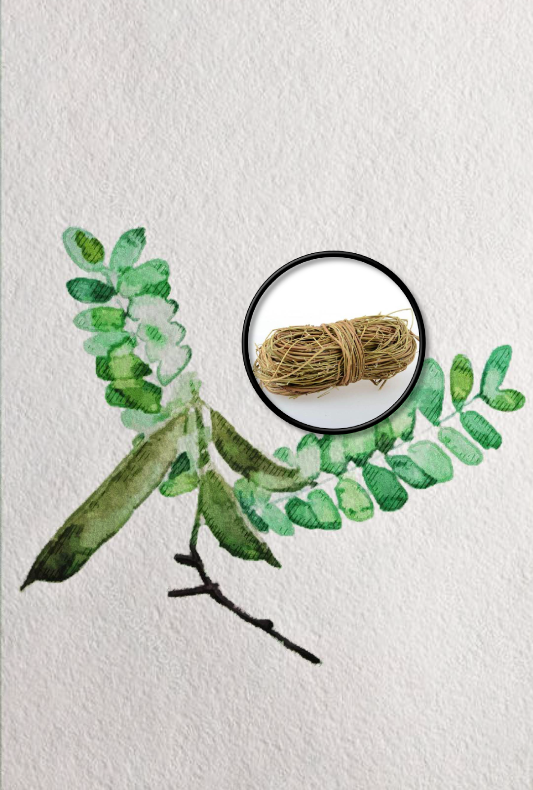 煲汤|【科普】听说，广东人均老中医？