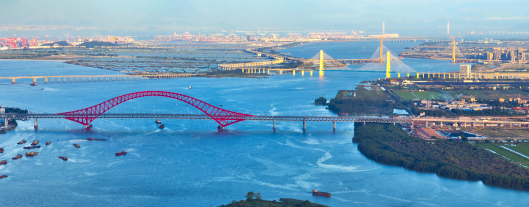 国家官宣：全力支持广州南沙！