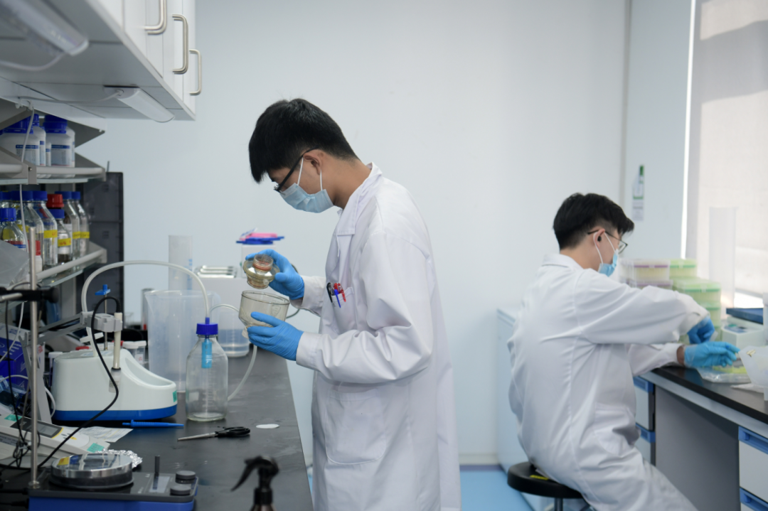 国家官宣：全力支持广州南沙！