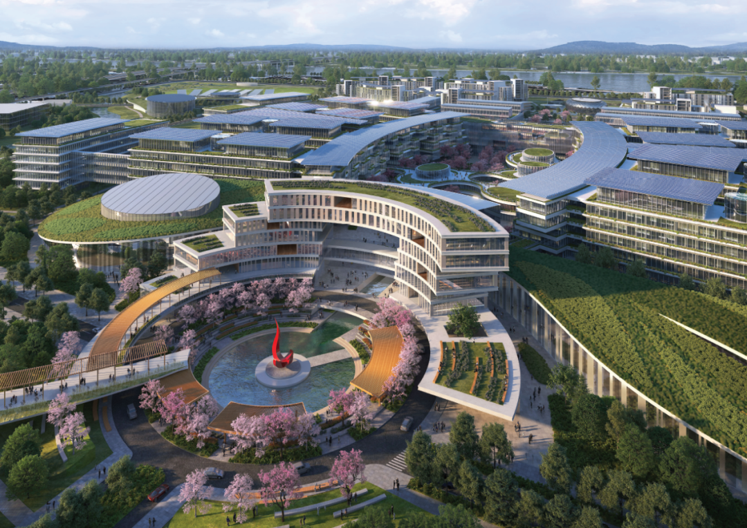 国家官宣：全力支持广州南沙！