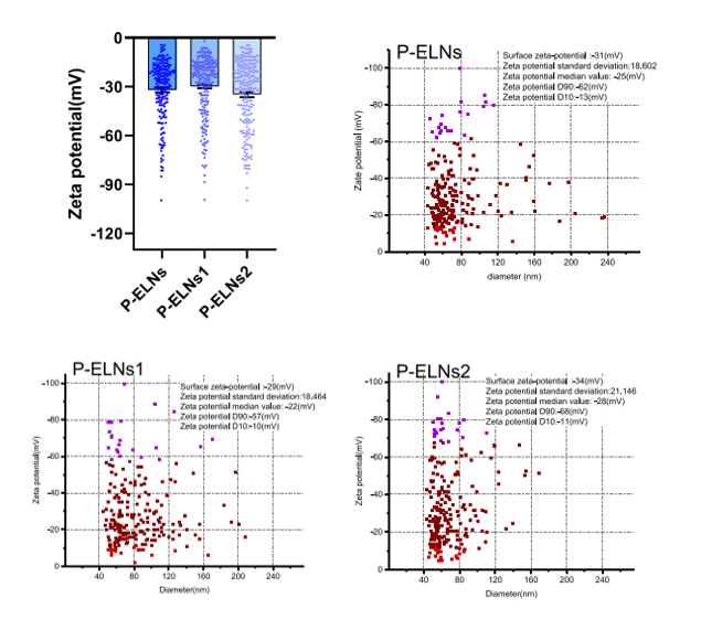NanoCoulter 賦能精準診斷與治療：細胞外囊泡研究的新突破！