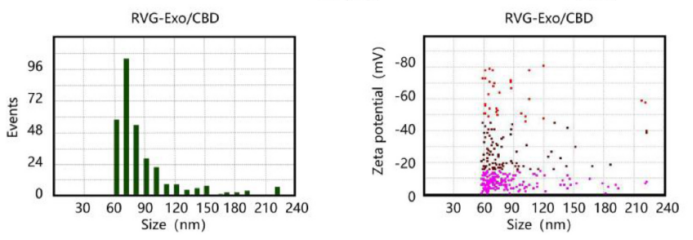 NanoCoulter 賦能精準診斷與治療：細胞外囊泡研究的新突破！
