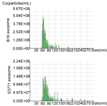 NanoCoulter 賦能精準診斷與治療：細胞外囊泡研究的新突破！