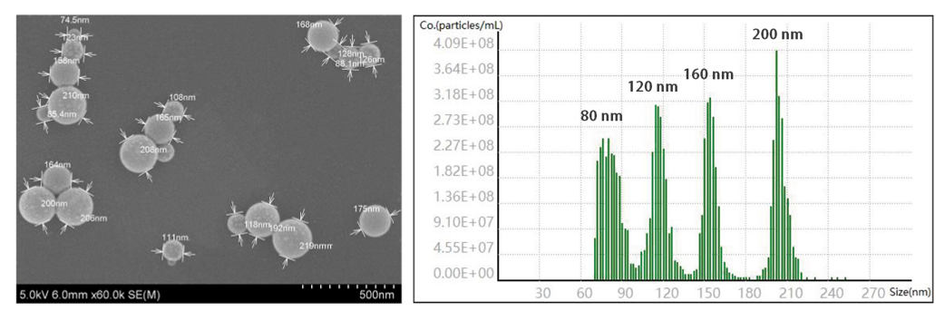 【會議邀請】瑞芯智造邀您參加第五屆生物藥質(zhì)量大會