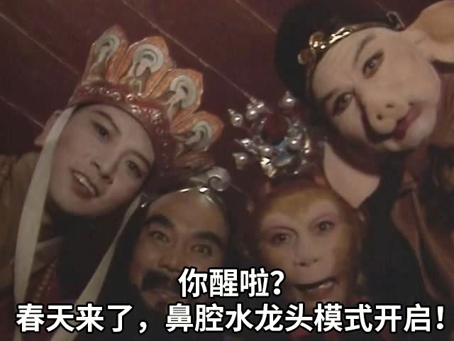 小小小鼻炎，毁掉了我的新恋情。