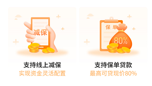 和泰增多多3号泰山版权益