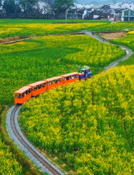 春天的婺源五彩就像是在流动徽州小众游