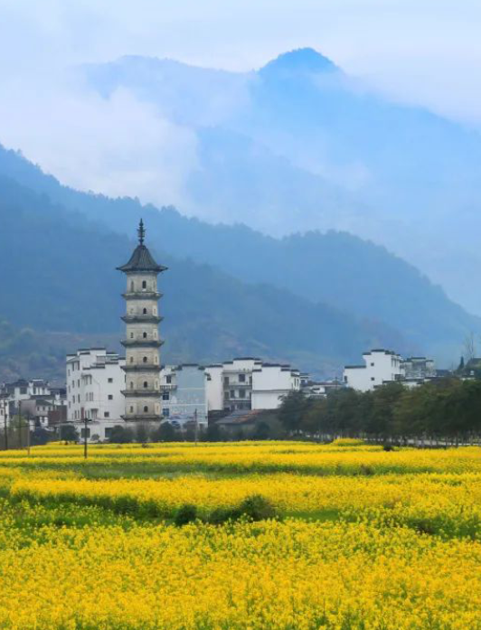 春天的婺源五彩就像是在流动徽州小众游