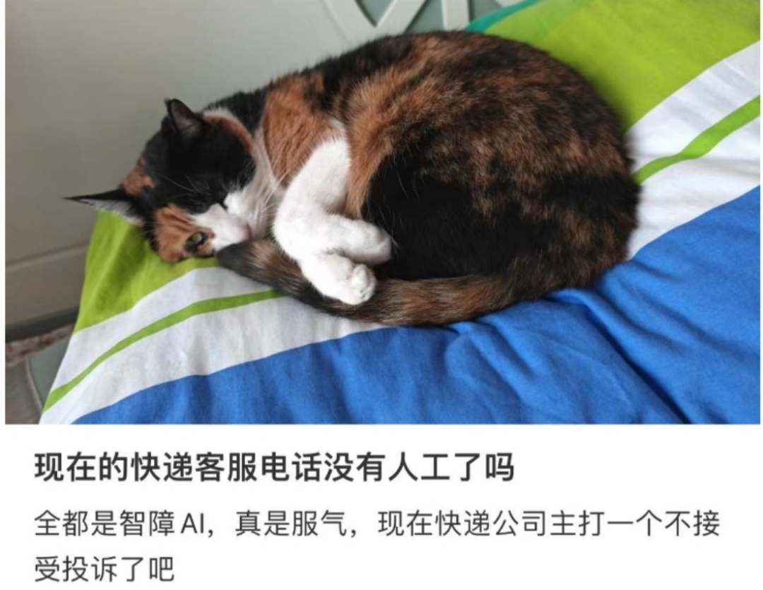 智能客服软件