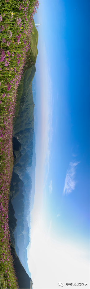 �Ͻھ²�ƺʢ�������ˣ����ι����ڴ�