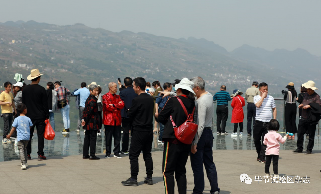 �Ͻ������������Ʊ��