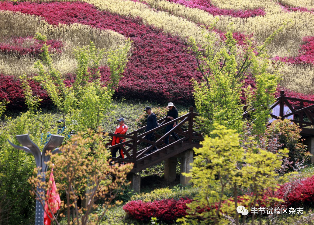 �Ͻ������������Ʊ��