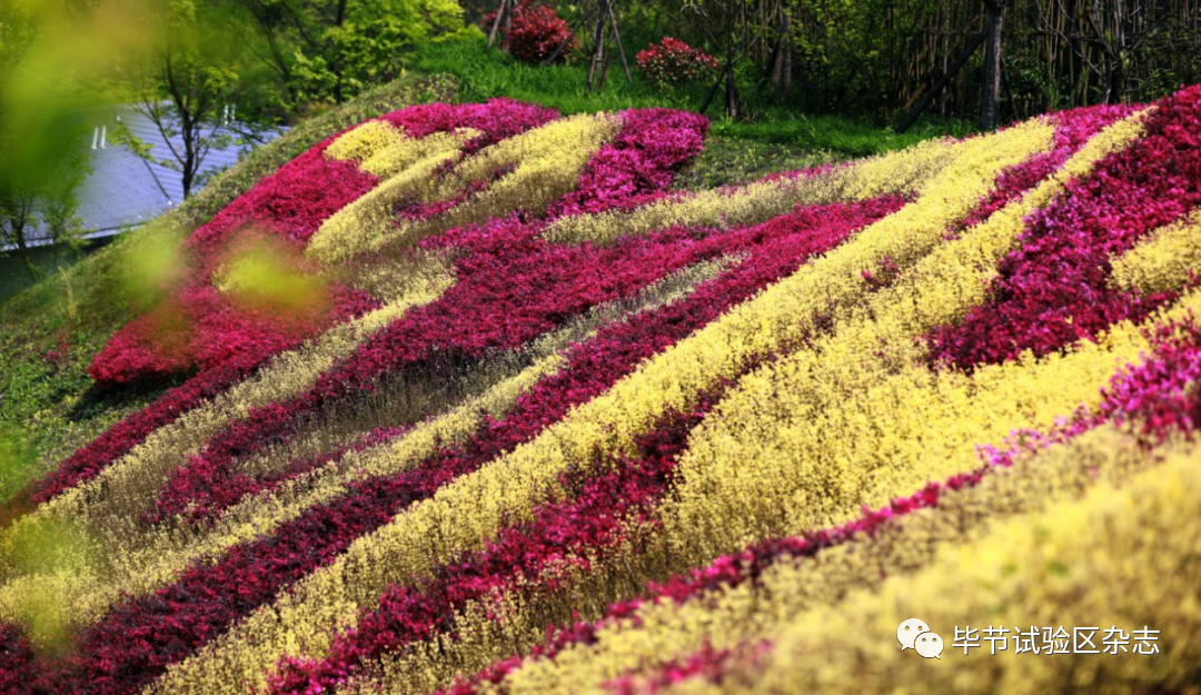 �Ͻ������������Ʊ��