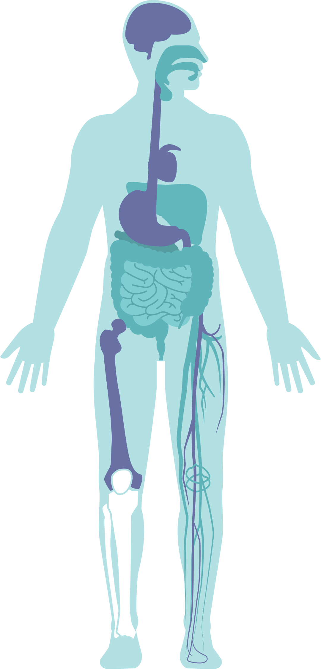 彩色眼底照相查什么拍一张眼底照片，就能帮你查清全身问题！_https://www.jmylbn.com_新闻资讯_第5张