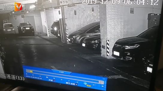 流浪狗車庫戰野貓！順嘴拆了兩輛車，油漏一地…車主崩潰：誰賠啊 寵物 第23張