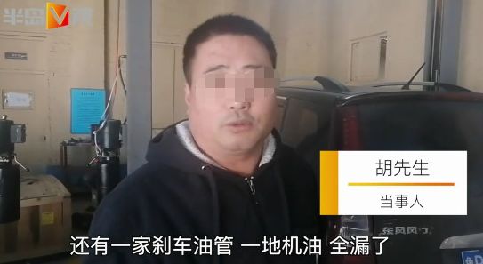 流浪狗車庫戰野貓！順嘴拆了兩輛車，油漏一地…車主崩潰：誰賠啊 寵物 第4張