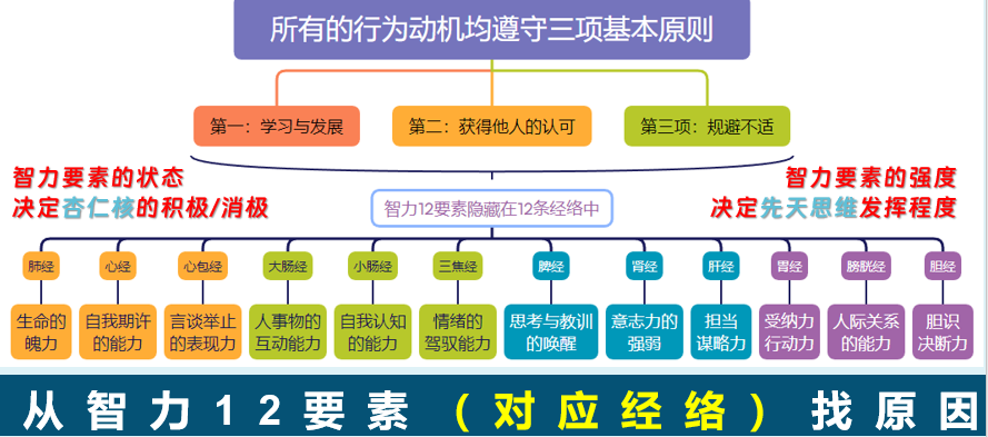 12岁儿童智商对照表