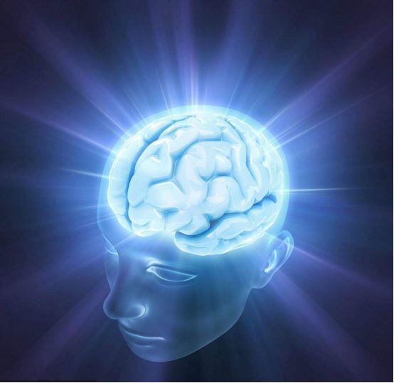 各地车牌号简称什么怎么读_各地车牌简称号代表什么_各地车牌号简称什么