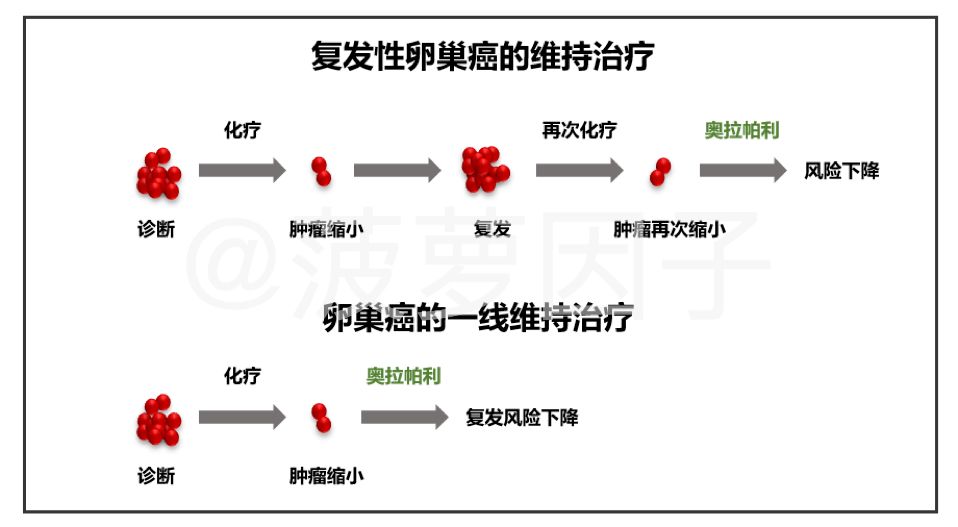 奧拉帕利獲批晚期卵巢癌的一線維持治療