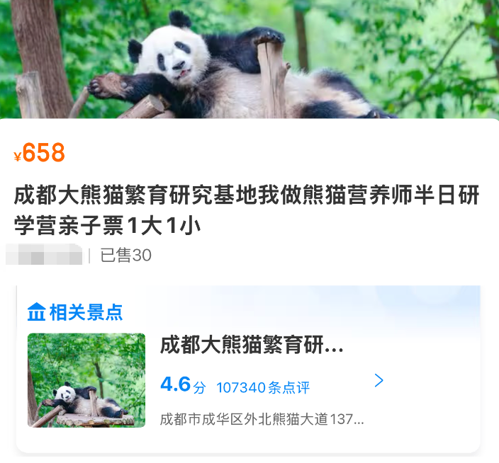 成都希尔顿熊猫基地研学套餐788元起 暑假周末不加价不排队
