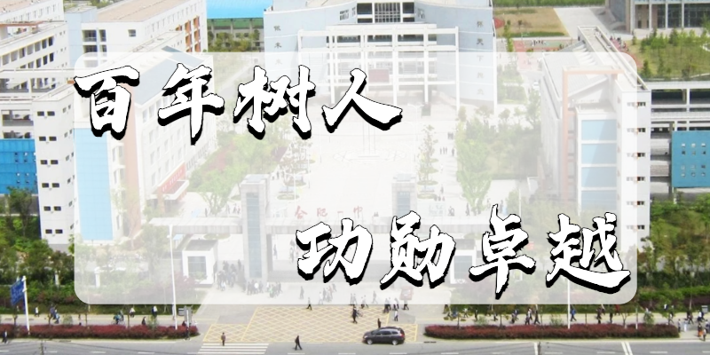 合肥二手车直卖网官网_合肥一中官网_晋城一中官网