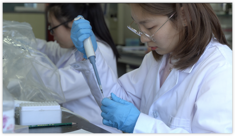 在蓝色药库里发现青岛新质生产力