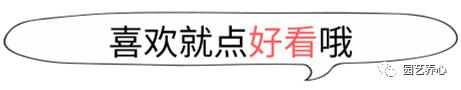 園藝療法| 童年的夢長在哪兒——校園景觀與兒童心理成長 家居 第151張