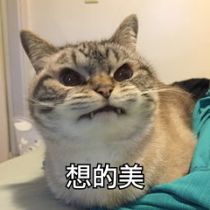 什么是励磁涌流？的图15