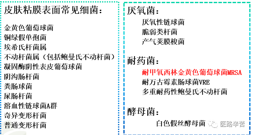 伤口贴敷料为什么伤口敷料的分类与选择技巧_https://www.jmylbn.com_新闻资讯_第17张