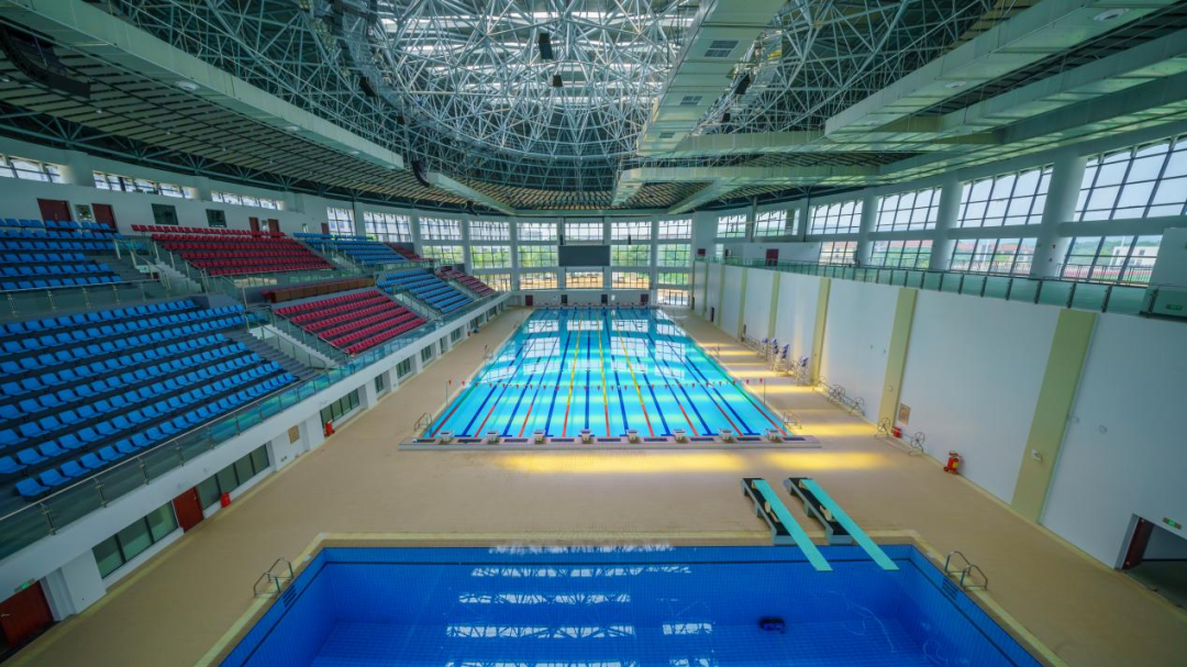 田径,游泳,篮球,足球,排球,乒乓球,羽毛球,健美操(含啦啦操,体育舞蹈)