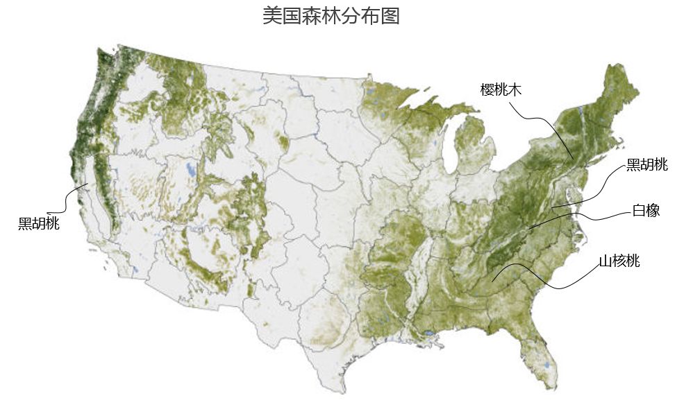 實(shí)木多層地板 價(jià)格_多層地板基材_多層木地板價(jià)格