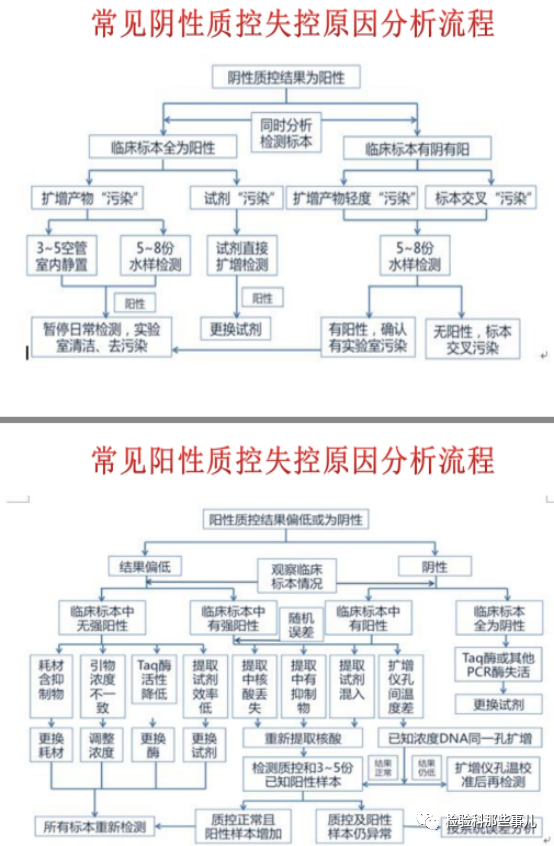 核酸溶于水吗