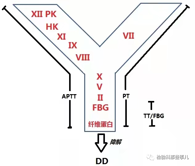 什么要做血凝PT检查血凝检验报告单看不懂？1分钟教你解读血凝化验单！-上海聚慕医疗器械有限公司