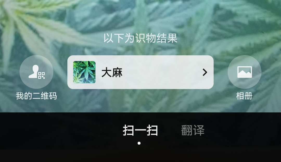 清明假期踏青注意！这些“野菜”有毒，一株都别碰！