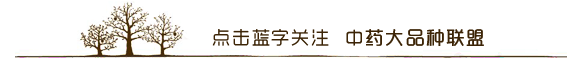 含有麝香中成药的质量研究现状