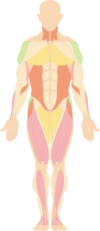 体检人体成分分析是什么@所有人 ｜ 不要轻易放弃这个体检项目_https://www.jmylbn.com_新闻资讯_第8张