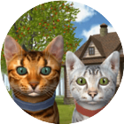 应用icon-猫咪生存模拟2024官方新版