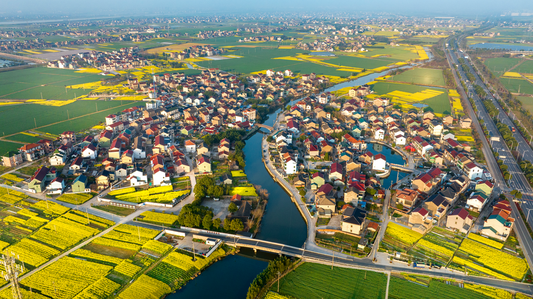 春日来沥海赴一场特别的约会