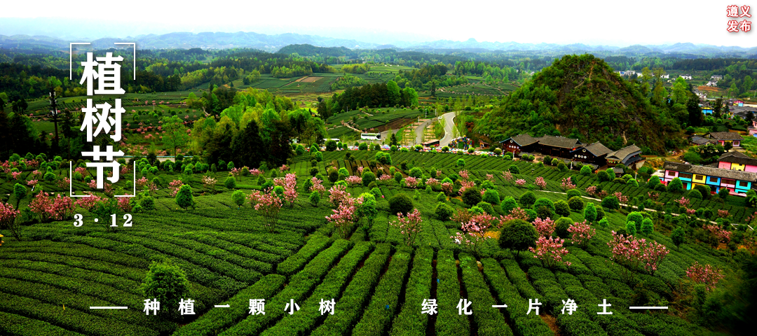 ֲ����Ҫ���ˣ�����������ˮ��ɽ������ǡ�