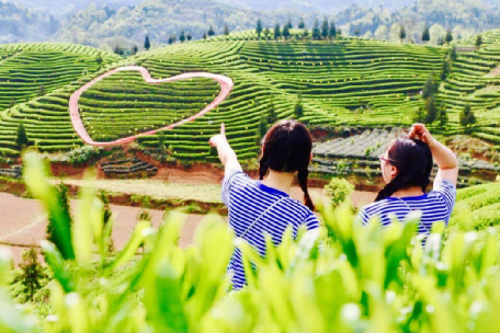 ��ĩ��ȥ��������ط��ɲ�