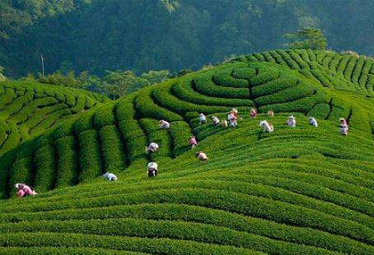 ��ĩ��ȥ��������ط��ɲ�