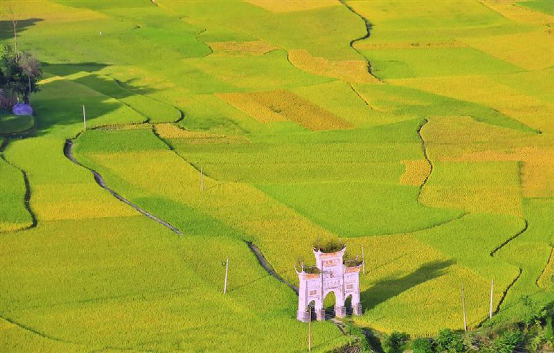 ��ĩ��ȥ��������ط��ɲ�