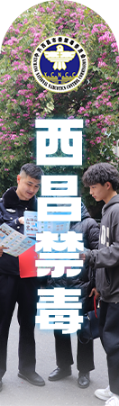 未标题-1_03.png