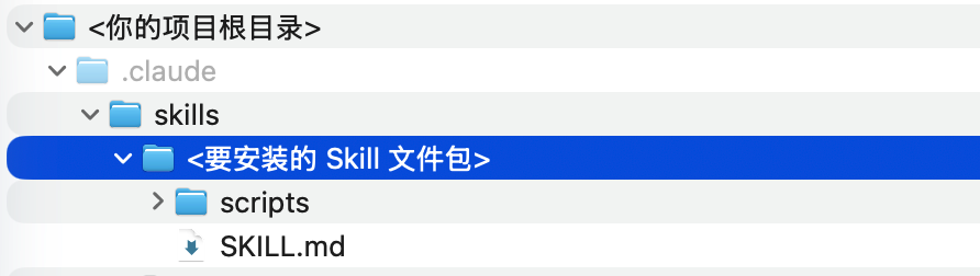 项目路径下正确的 Skills 文件夹配置示意图
