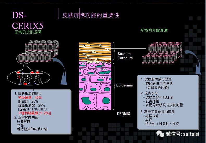 水妍芙 苹果干细胞抗皱精华