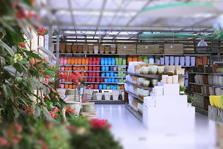 『partner』| 花一派来了!入驻北京花卉名店-世纪奥桥花卉园艺中心