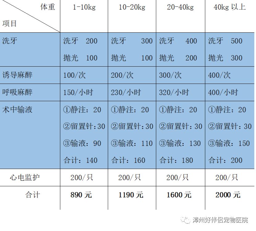 哪怕只是洗牙,我们也可当做一次常规体检对待.