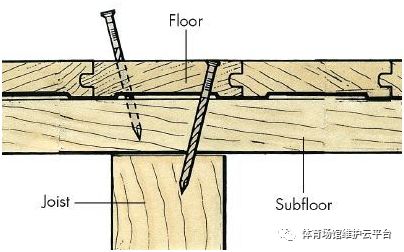 楓木體育木地板_淺色楓木地板_籃球館楓木地板